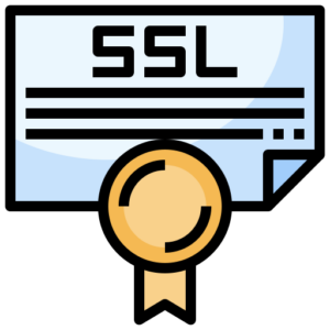 Rapid SSL Standard DV